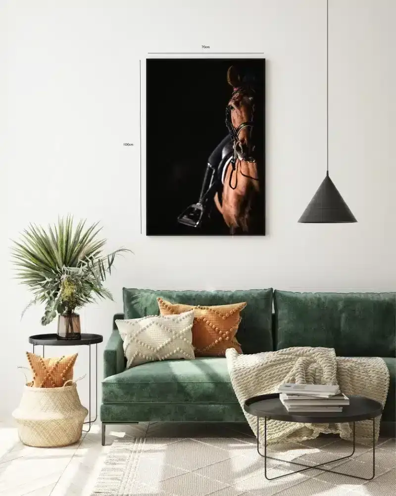 Chestnut Horse Plakat