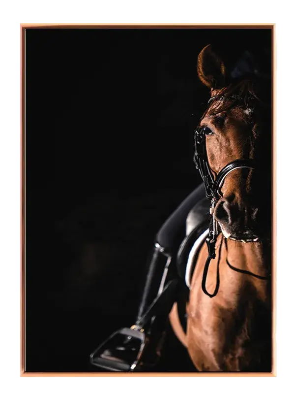 Chestnut Horse Plakat