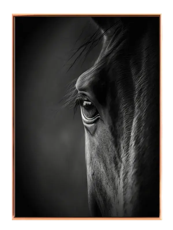 Horse Closeup Plakat