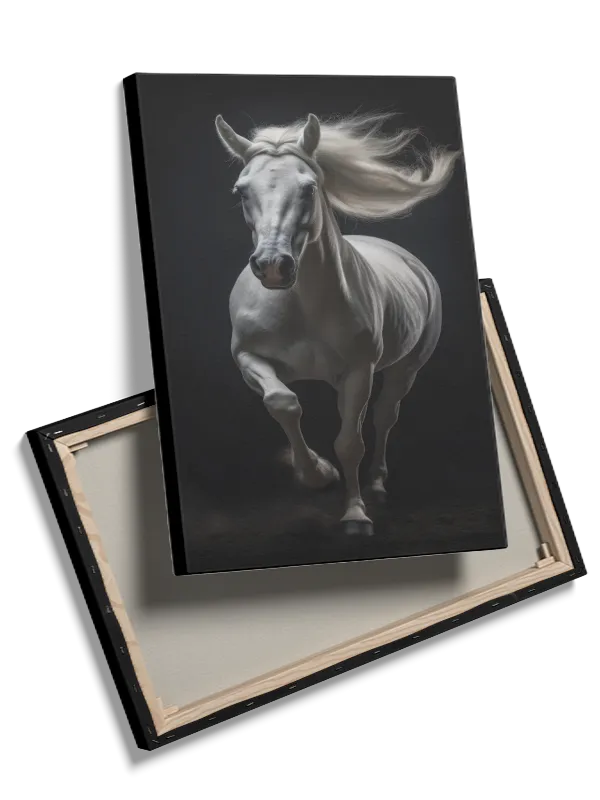 White Arabian Horse Plakat