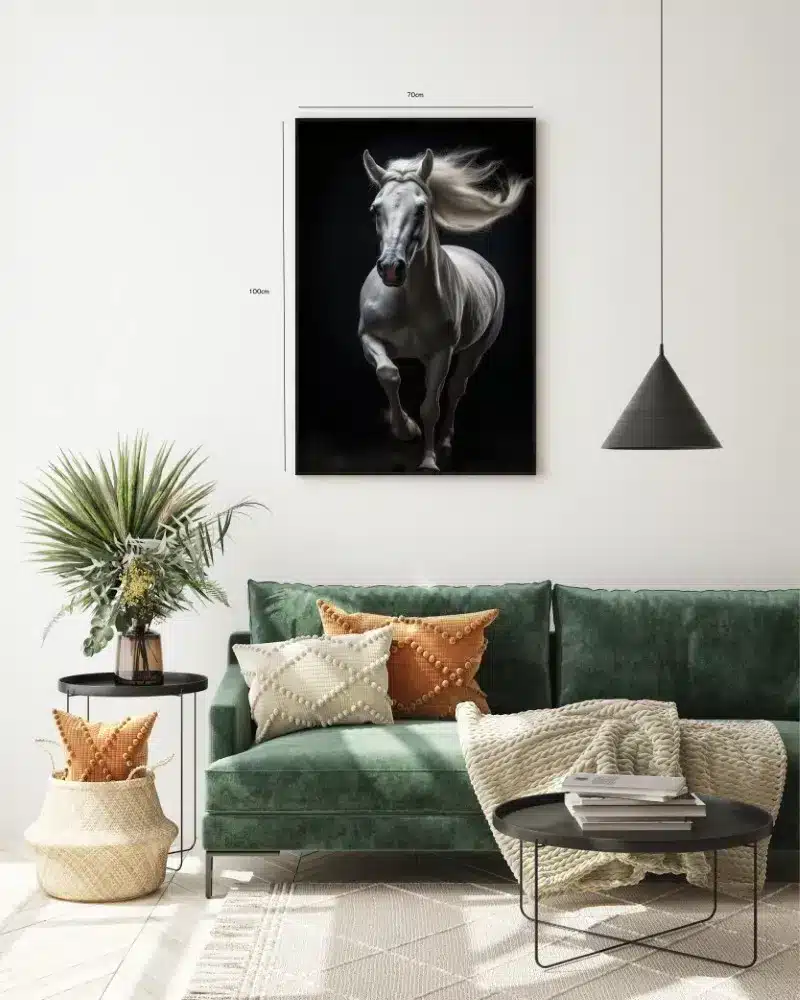 White Arabian Horse Plakat
