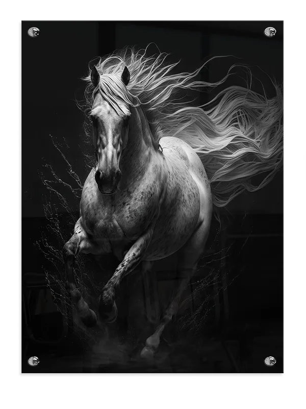 Horse With Flowing Mane Plakat