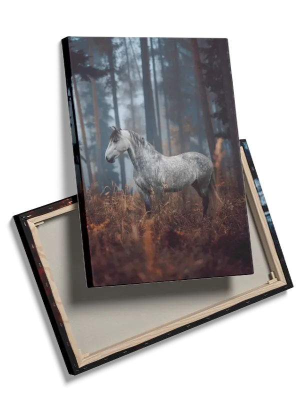 Dapple Gray Horse Plakat