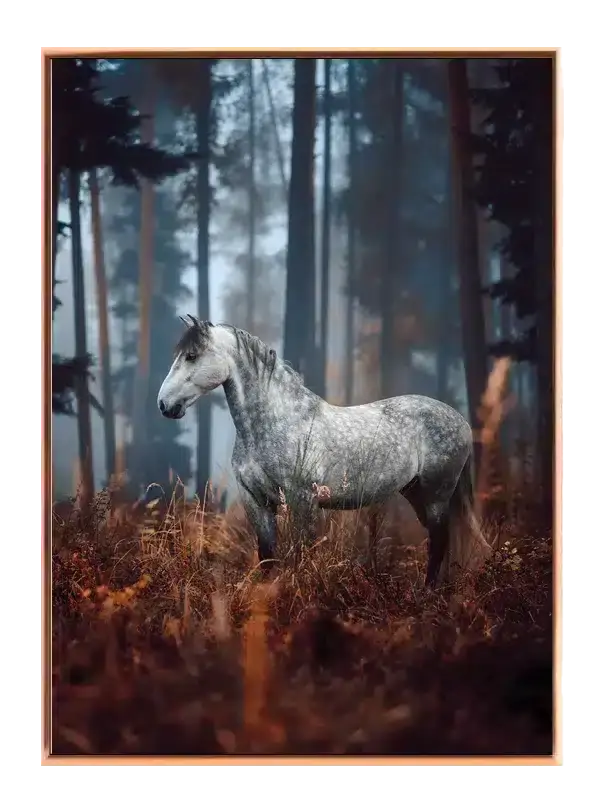 Dapple Gray Horse Plakat