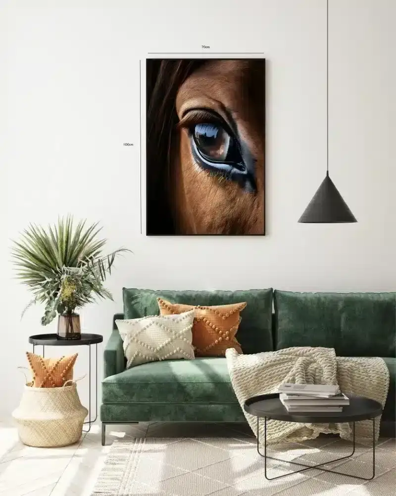 Horse Eye Close Up Plakat
