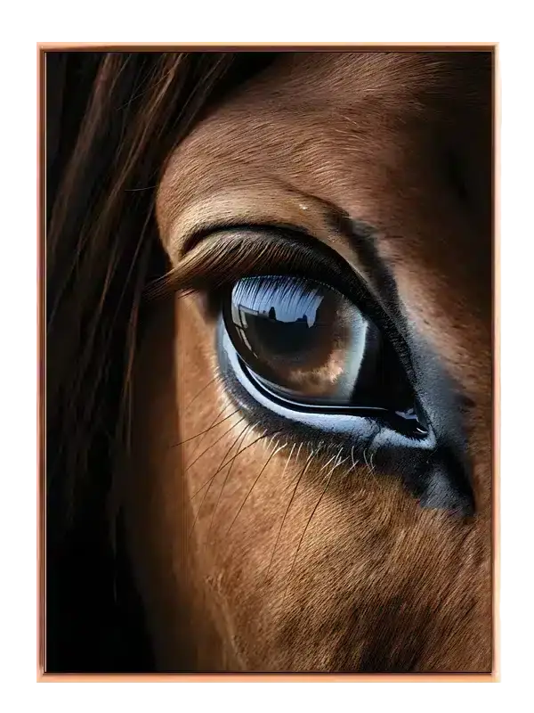 Horse Eye Close Up Plakat