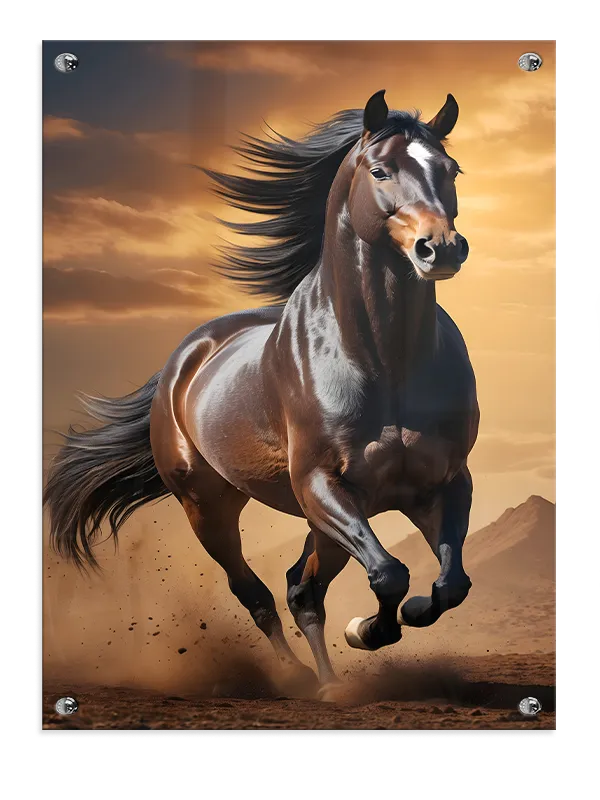 Horse Running Plakat