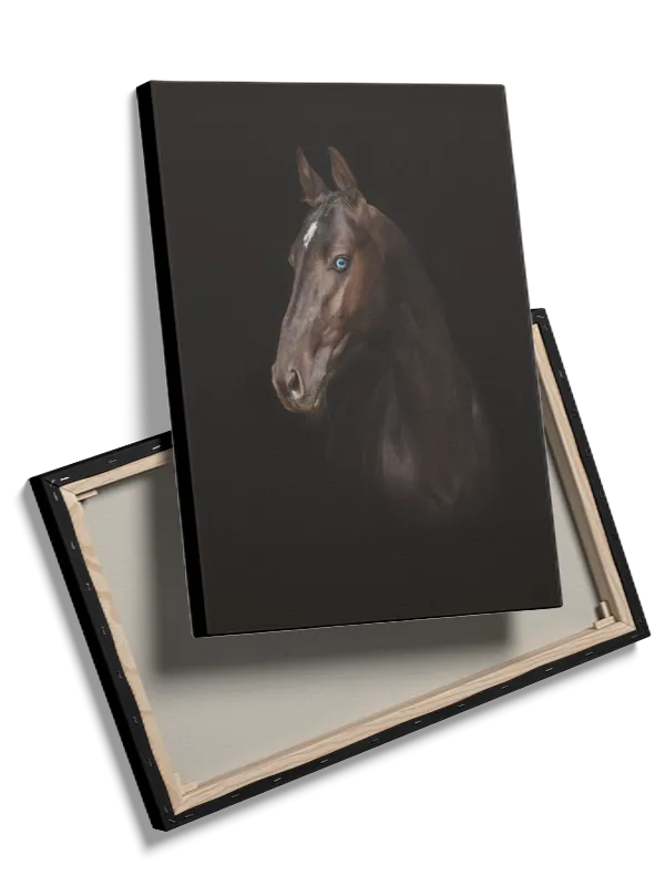 Horse Blue Eye Plakat