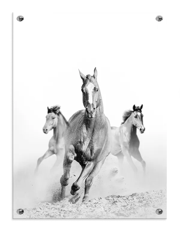 Running Horses Plakat