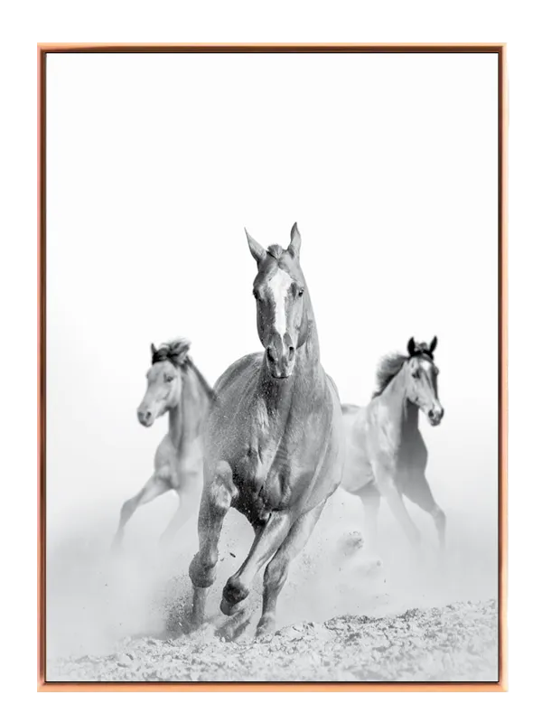 Running Horses Plakat