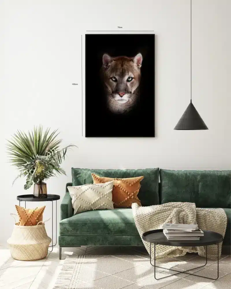 Mountain Lion Plakat