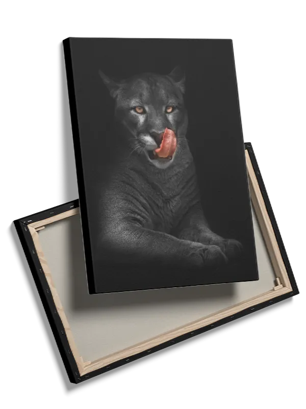 Black Panther Close Up Plakat
