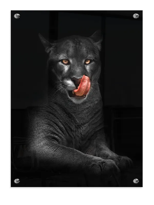 Black Panther Close Up Plakat