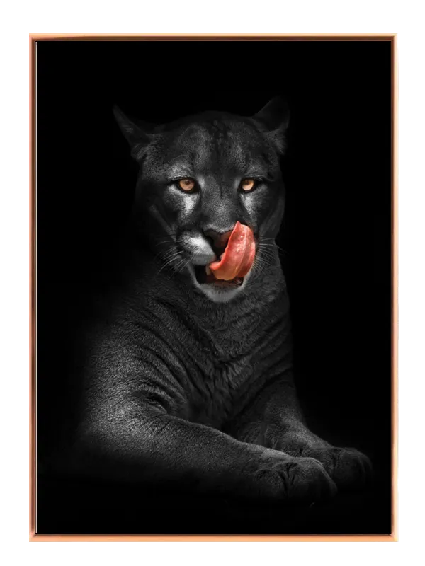Black Panther Close Up Plakat