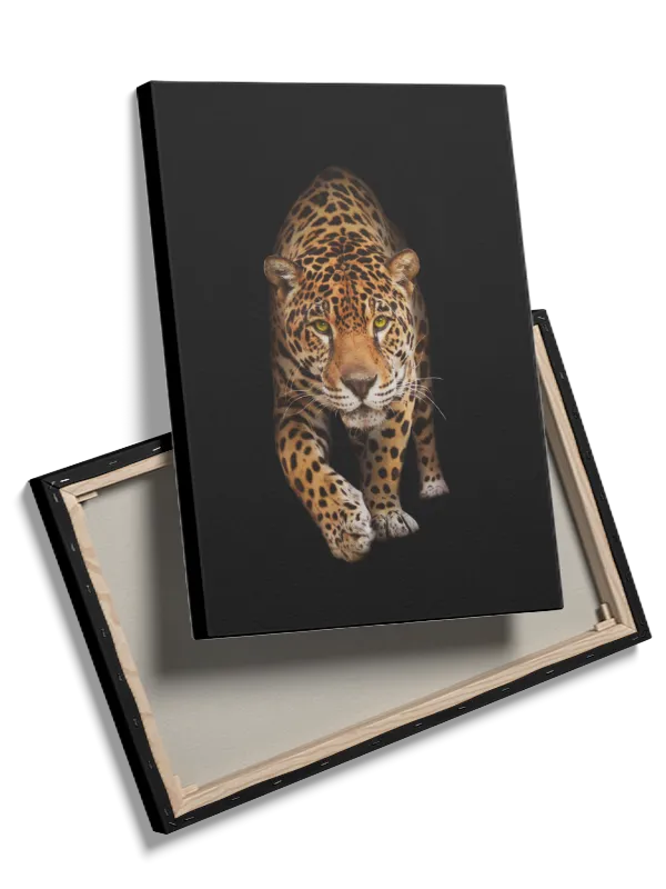Kat Jaguar Plakat