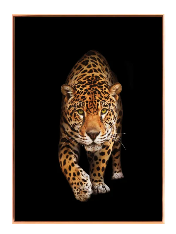 Kat Jaguar Plakat