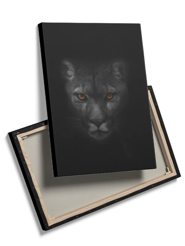 Panther Close Up Plakat
