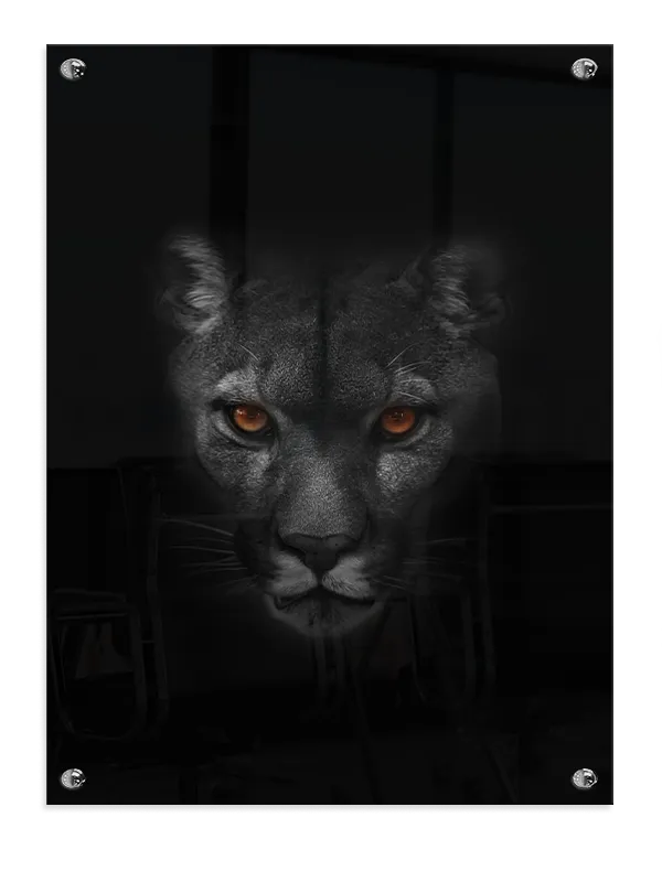 Panther Close Up Plakat