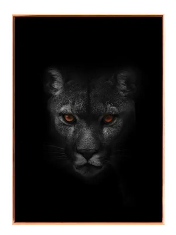 Panther Close Up Plakat