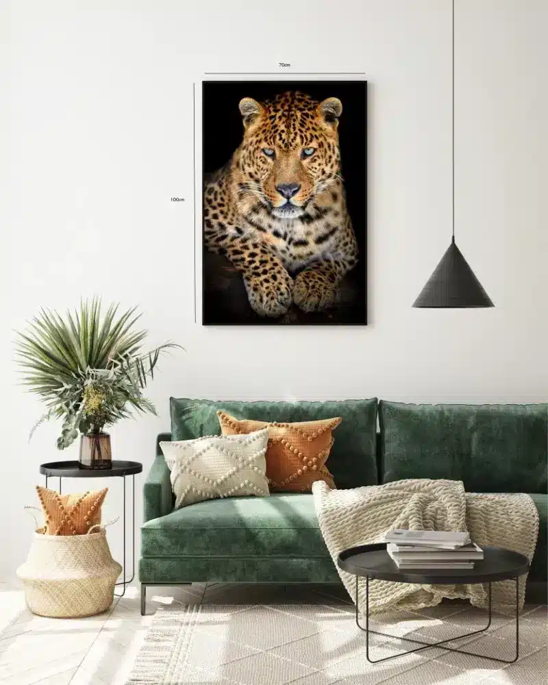 Leopard Resting Plakat