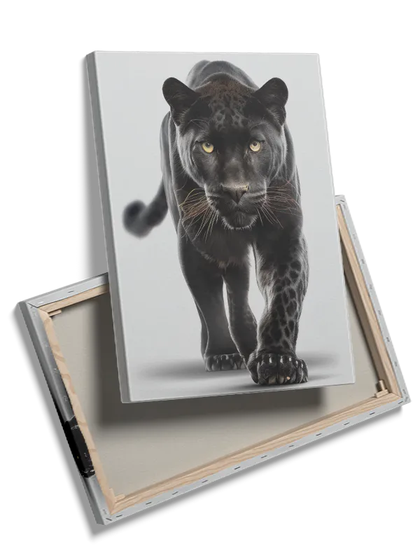 Black Panther Closeup Plakat