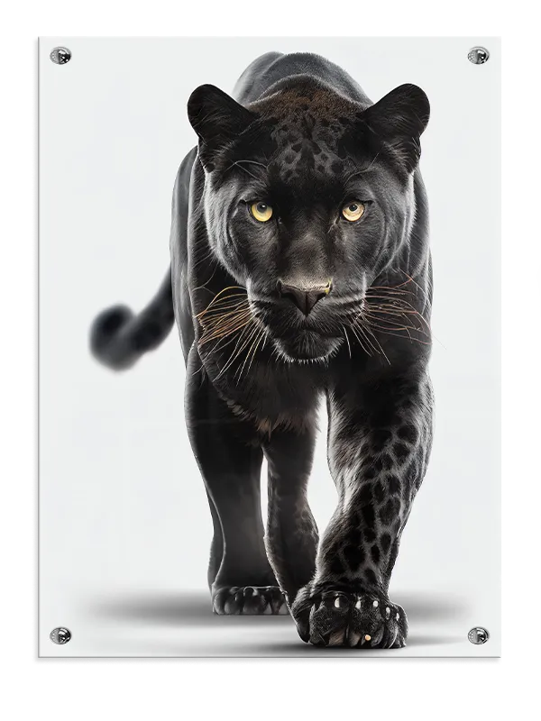Black Panther Closeup Plakat
