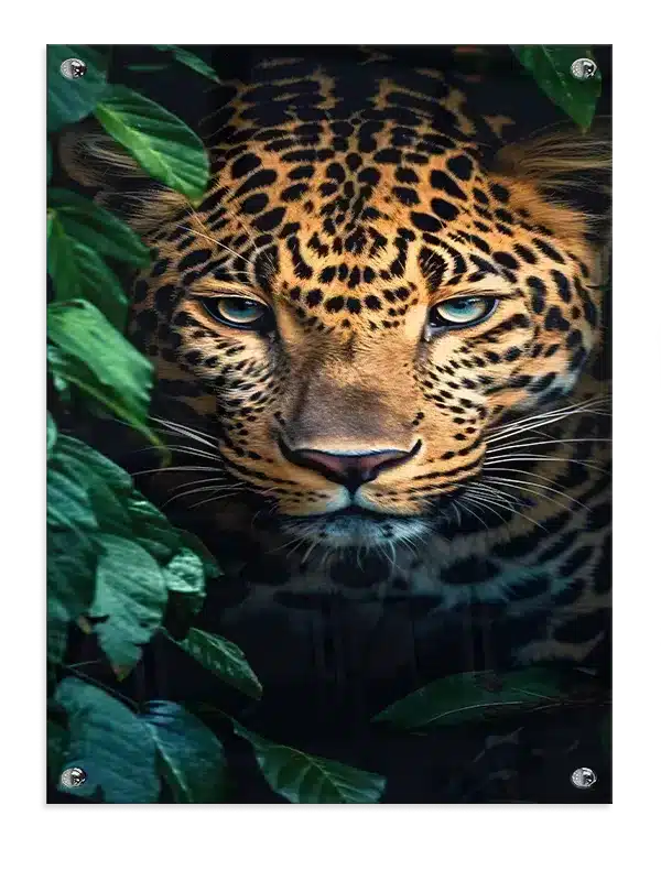Leopard Close Plakat