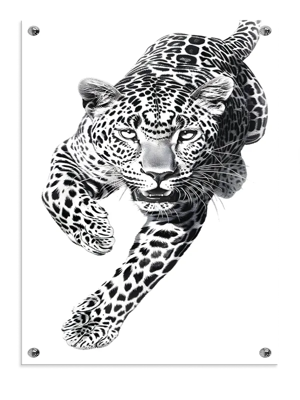 Kat Jaguar In Motion Plakat