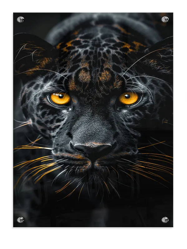 Kat Black Plakat