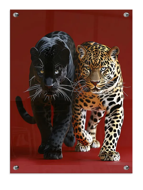 Ko Jaguar Duo Plakat