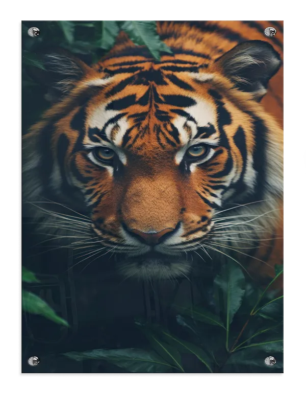 Bengal Tiger III Plakat