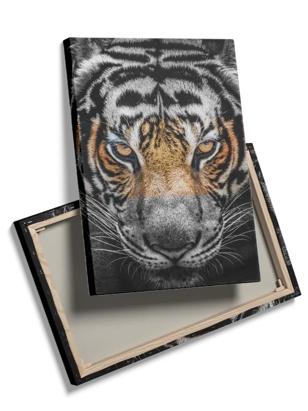 Tiger Face Plakat