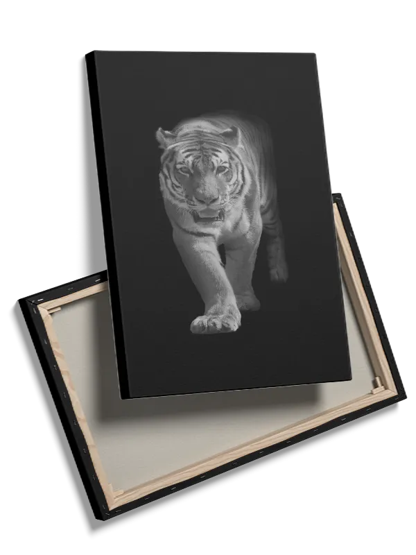 Tiger Walking Plakat