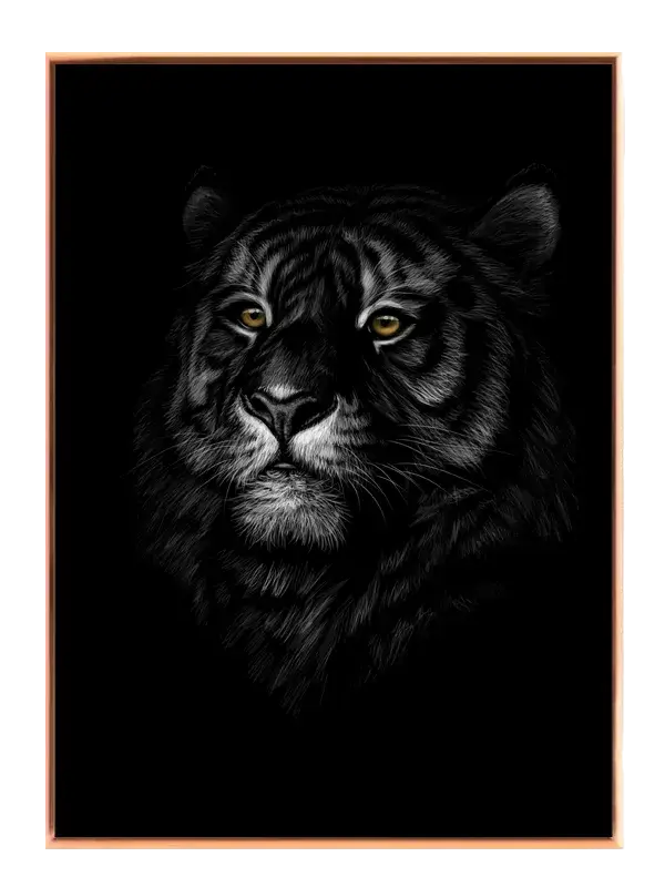 Black Tiger Plakat