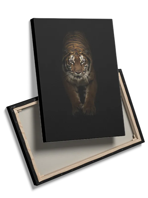 Tiger Plakat