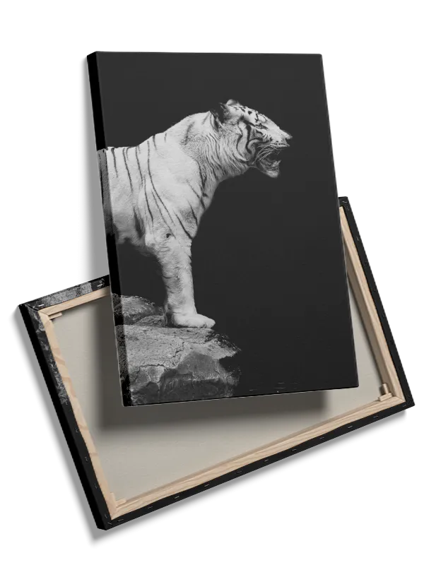 White Tiger Profile Plakat