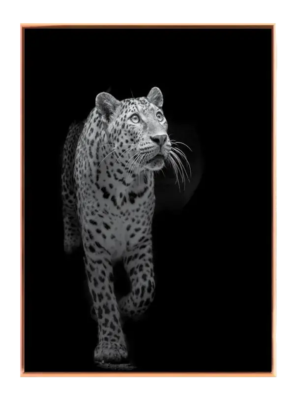 Leopard In Motion Plakat