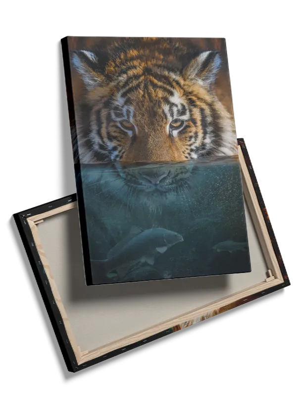 Tiger Underwater Plakat