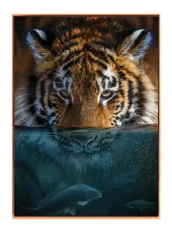 Tiger Underwater Plakat