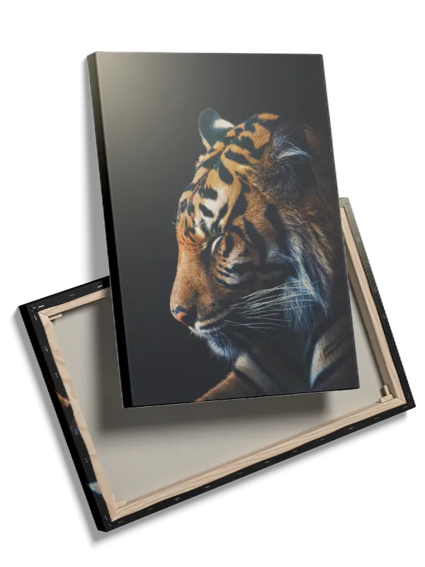 Tiger Profile Plakat