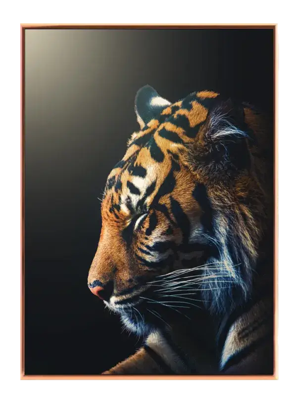 Tiger Profile Plakat