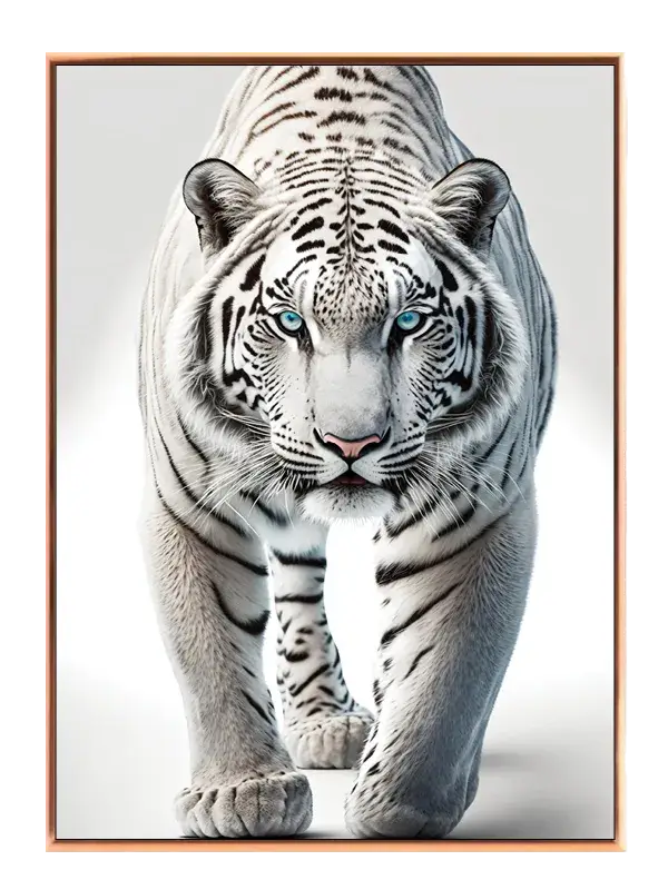 White Tiger Close Up Plakat