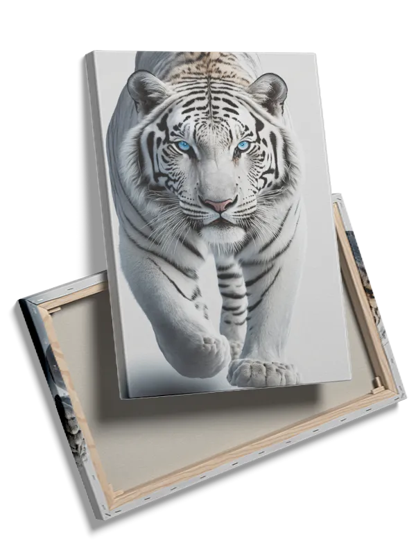 White Tiger Closeup Plakat