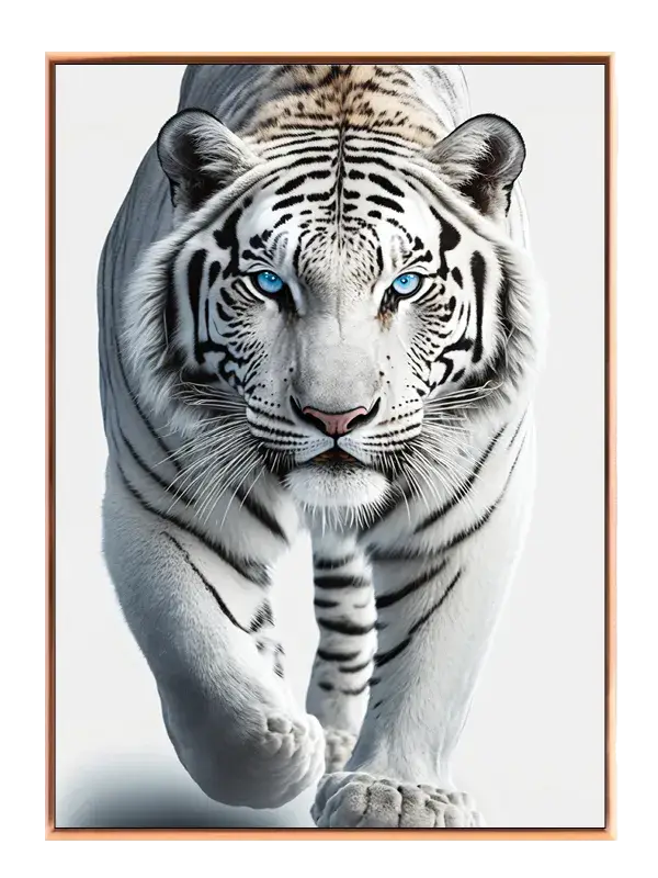 White Tiger Closeup Plakat