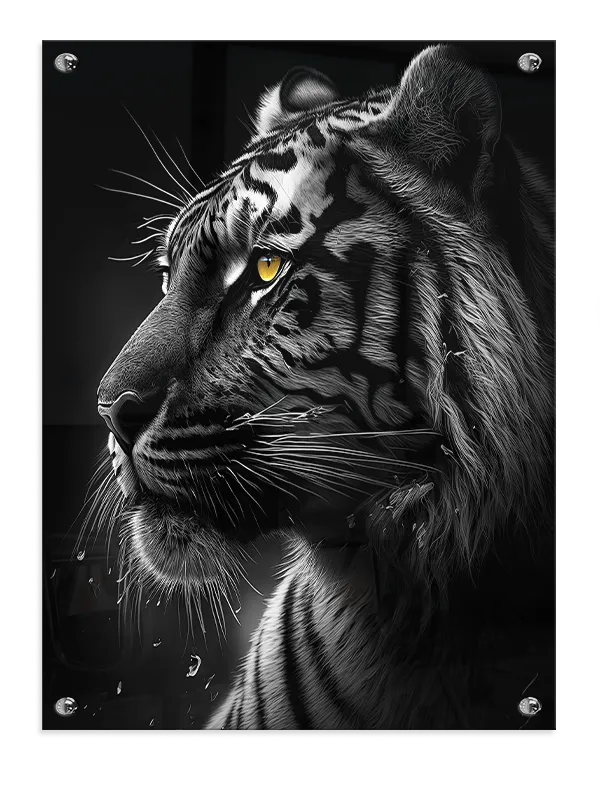 Tiger Profile Close Up Plakat