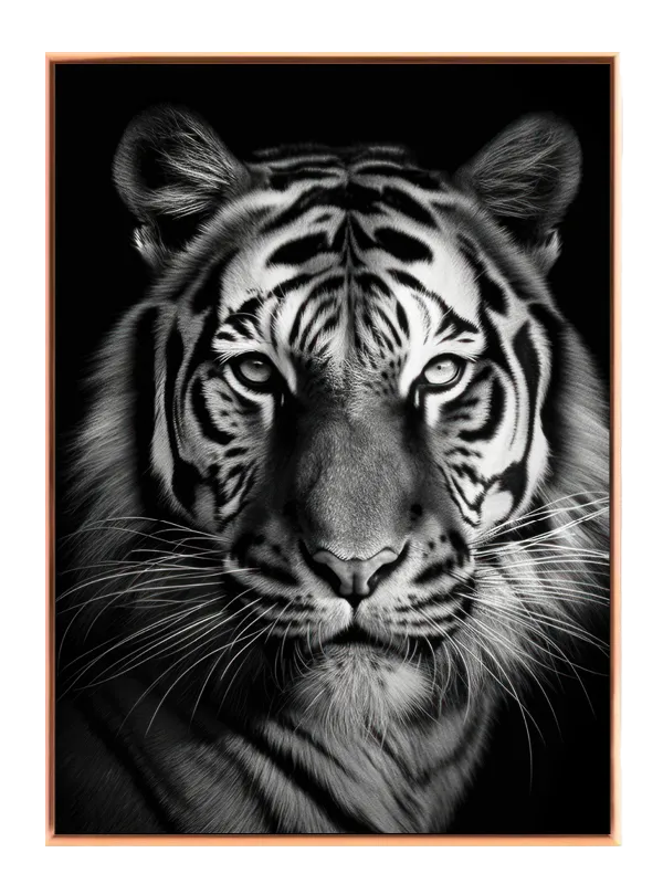 Tiger Black Background Plakat