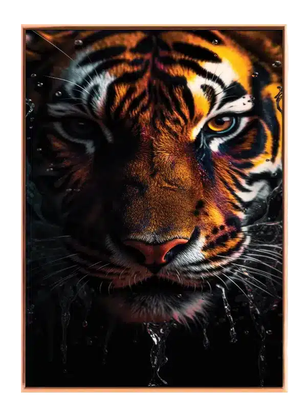 Tiger Face Closeup Plakat