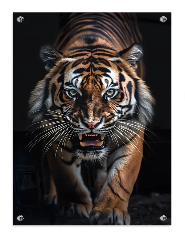 Siberian Tiger Plakat