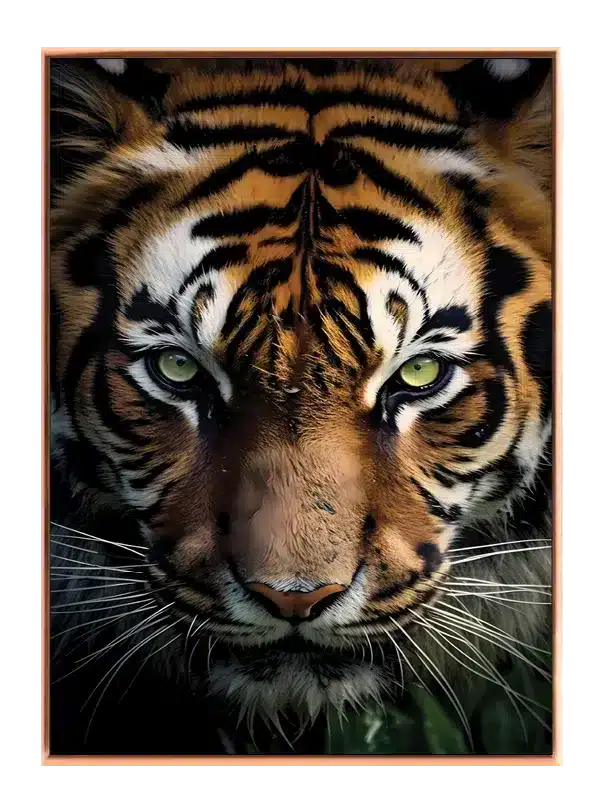 Bengal Tiger Face Plakat