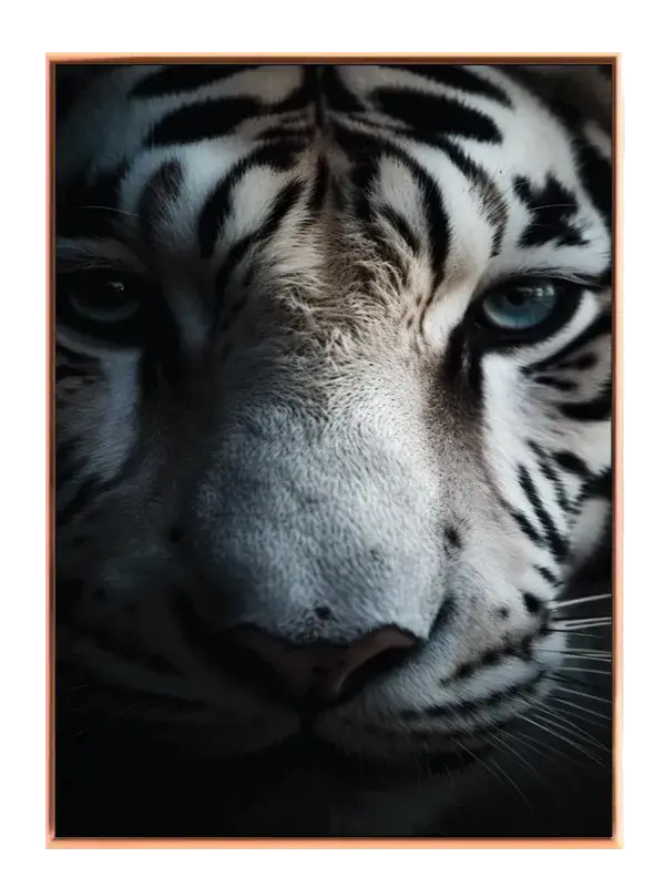 White Tiger No6 Plakat